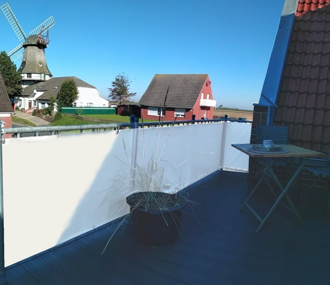 Dachterrasse mit Blick auf Mühle und Deich